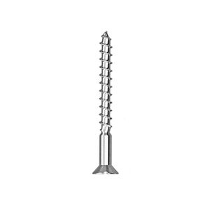 Parafuso Madeira Philips 3,2x30mm com Bucha 5mm 10 Peças - Sforplast