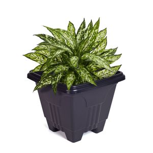 Vaso Quadrado 33,55cm Preto - Mb Plásticos