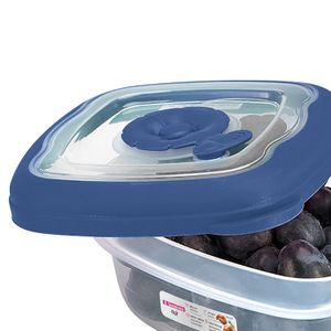 Kit Com 4 Potes de Plástico Quadrado Flor 280mL Azul - Sanremo