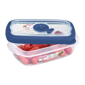 Kit Com 4 Potes de Plástico Retangular Flor 220mL Azul - Sanremo