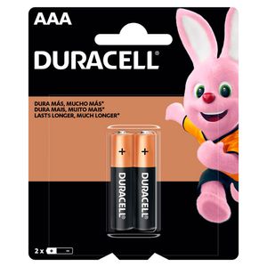 Pilha Aaa Alcalina 2 Unidades - Duracell