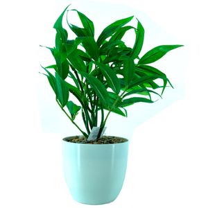 Arranjo Bambu com Vaso 20cm - Bela Flor