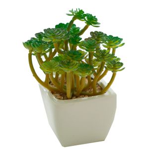 Arranjo Suculenta Cacto com Vaso Branco 15cm - Bela Flor
