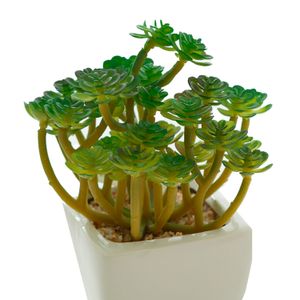 Arranjo Suculenta Cacto com Vaso Branco 15cm - Bela Flor