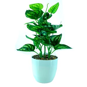 Arranjo Folha Melancia com Vaso 20cm - Bela Flor