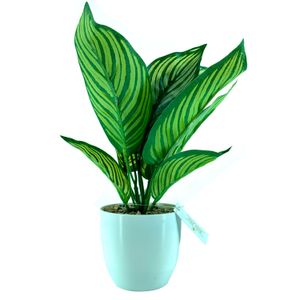 Arranjo Folha Croton com Vaso 25cm - Bela Flor