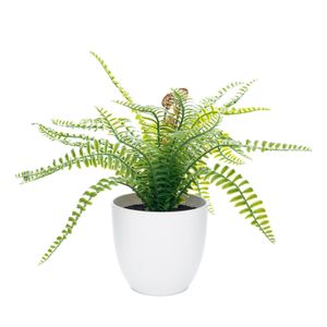 Arranjo Samambaia com Vaso 35cm - Bela Flor