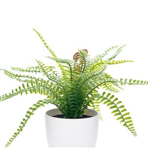 Arranjo Samambaia com Vaso 35cm - Bela Flor