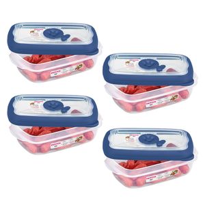 Kit Com 4 Potes de Plástico Retangular Flor 220mL Azul - Sanremo