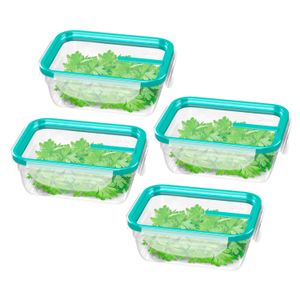 Kit Com 4 Potes de Plástico Retangular Fresh 330mL Verde - Sanremo