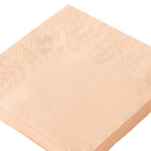 Guardanapo de Papel Folha Dupla 20 Unidades 25cm Pessego - Silver Plastic