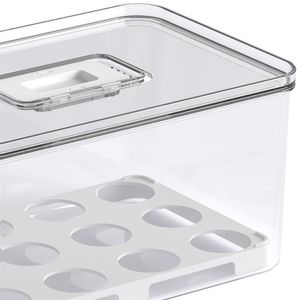Organizador de Ovos com Tampa Dry - Coza