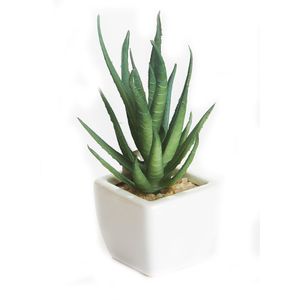 Arranjo de Suculenta Artificial 9cm - Bela Flor