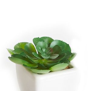 Arranjo de Suculenta com Vaso Verde e Branco 9cm - Bela Flor