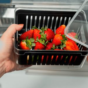 Organizador Clear Fresh com Cesto 2,2l Preto - Ou