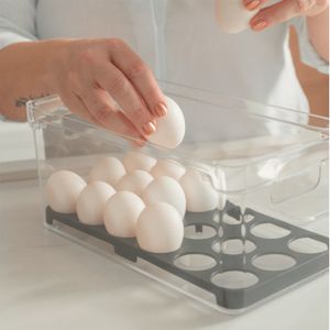Organizador de Ovos Clear Fresh Preto - Ou