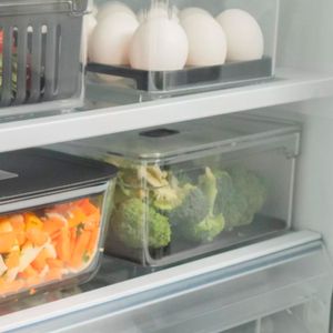 Organizador Clear Fresh 2,2l com Tampa Preto - Ou