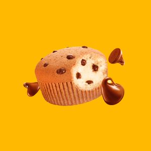 Bolinho Gotas de Chocolate 40g - Bauducco