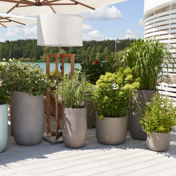 Vasos grandes com plantas decorativas em um terraço ao ar livre, com guarda-sóis e vista para um lago rodeado por árvores.