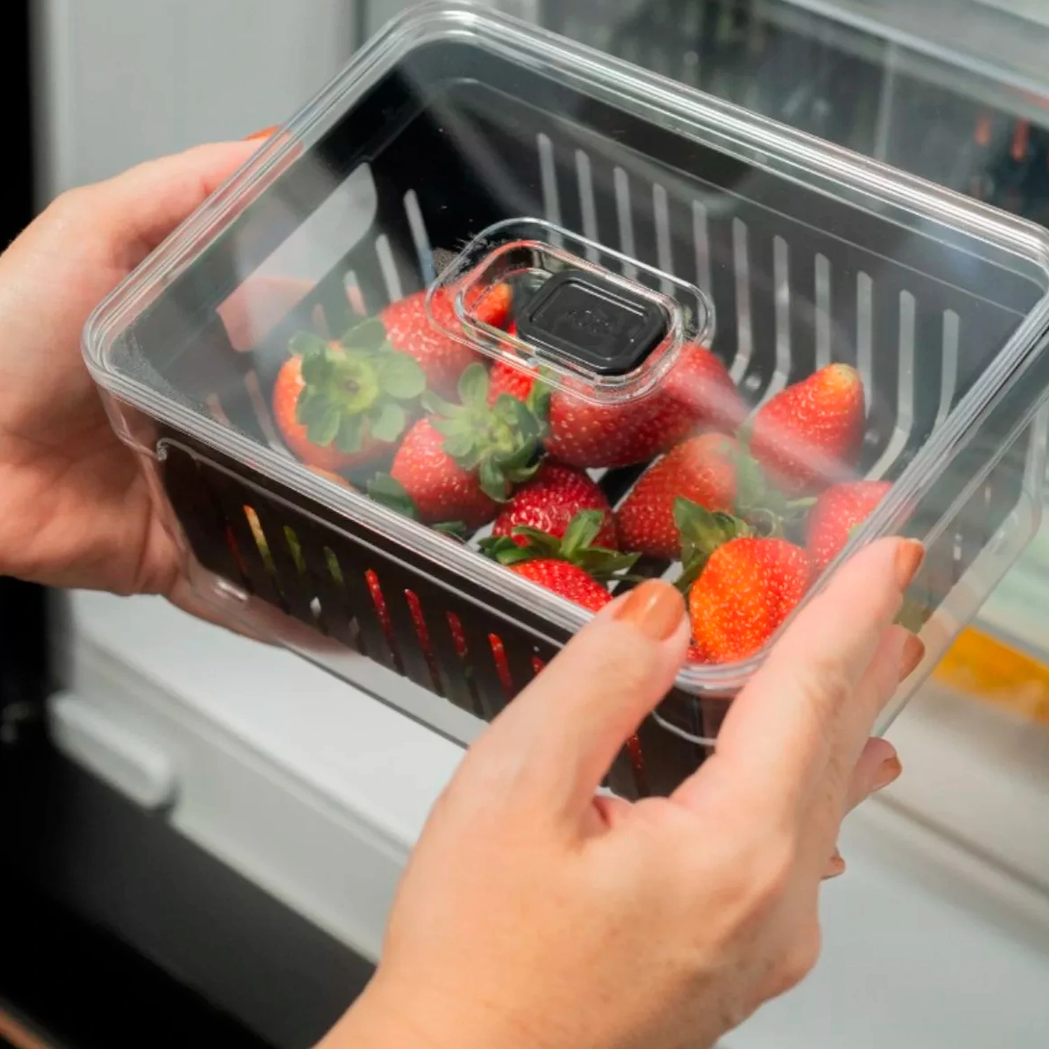 Organizador para frutas com cesto interno e tampa transparente, armazenando morangos frescos dentro da geladeira.